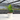 Fiddle Leaf Fig Plant
