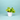 Philodendron Oxycardium Golden Plant