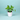 Philodendron Oxycardium Green Plant