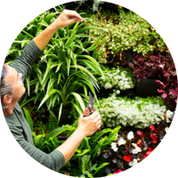 Installation & setup